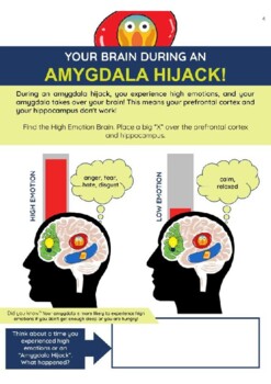 Preview of Your Brain and Body During an Amygdala Hijack