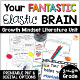 Your Fantastic Elastic Brain Activities for Upper Grades w