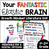 Your Fantastic Elastic Brain Activities: Back to School Pi