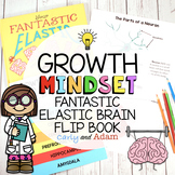 Your Fantastic Elastic Brain Growth Mindset Flip Book with