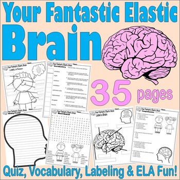 Preview of Your Fantastic Elastic Brain Read Aloud Book Companion Reading Comprehension