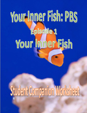 Your Inner Fish: Episode 1 - Student Companion Worksheet