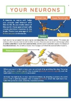 Preview of Your Neurons & Happiness Chemicals