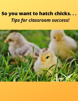 Preview of Your Quick Guide to Hatching Chicks in the Classroom