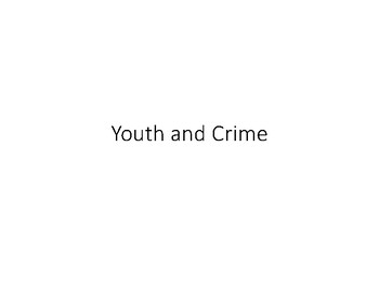 Preview of Youth Criminal Justice