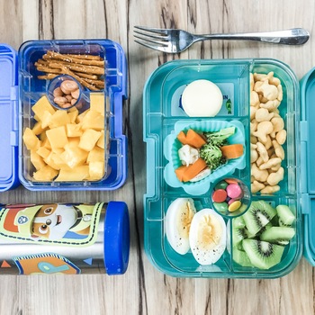 25+ Snack ideas for the small section of the yumbox lunch box - The  Organised Housewife