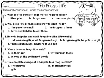 Frog Life Cycle by First Grade Fun Times | Teachers Pay Teachers