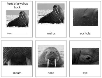 Preview of Z004 (GOOGLE): WALRUS (parts of) 3 part cards|book making set (10pgs) 