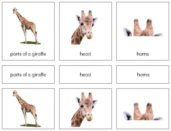 Preview of Z005 (PDF): GIRAFFE (parts of) 3 part cards (4pgs)