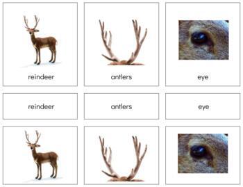 Preview of Z013: REINDEER (parts of) 3 part cards (4pgs)