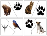 Z033: animal & paw print 2 part cards (semi self correcting) (4pgs)