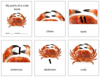 Preview of Z037: CRAB (parts of) 3 part cards & book making set (9pgs)