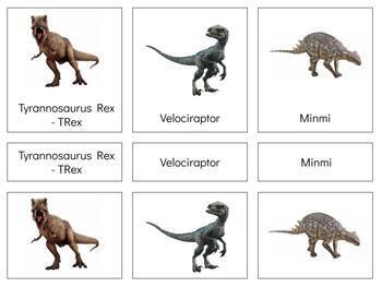 Preview of Z041 (GOOGLE): DINOSAUR (types of) 3 part cards & book making set (14pgs)