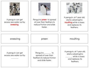 Preview of Z046 (GOOGLE): PENGUIN (facts about) 3 part cards (comprehension) (6pgs)
