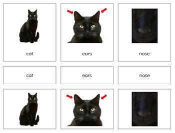 Preview of Z065 (GOOGLE): CAT (parts of) 3 part cards & book making set (9pgs)