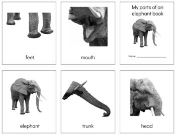 Preview of Z073: ELEPHANT (REAL - parts of) 3 part cards & book making set (10pgs)