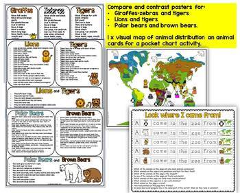 ZOO ANIMALS INFORMATION POSTERS by Marcelle's KG Zone | TpT