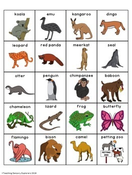 ZOO Picture Visuals (Students with Autism) by Teaching Sensory Explorers