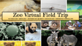 ZOO Virtual Field Trip! Including Activities and Art Proje