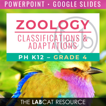 Preview of ZOOLOGY: Animal Classifications and Adaptations | PPT - Google Slides