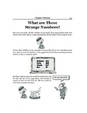 Zaccaro Primary Math Enrichment - What are These Strange Numbers?