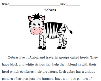 Preview of Zebras~ Short Passage and Questions for Small Group Instruction