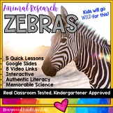 Zebras ...  5 days of awesome research mixed w/ literacy, 