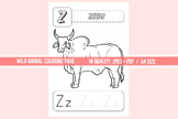 Zebu Bull Animal Coloring & Writing Exercise