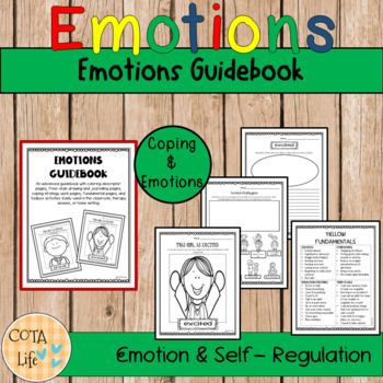 Preview of Emotions Guidebook