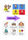 Zones of Regulation and Colourful Semantics 'Why do you fe