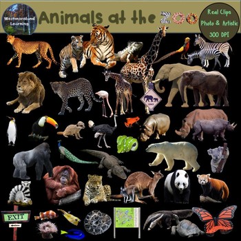 Preview of Zoo Animals Clip Art  Photo & Artistic Digital Stickers Over 100 Clips