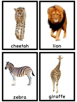 Zoo Animal Flashcards by Emily Valeika | Teachers Pay Teachers