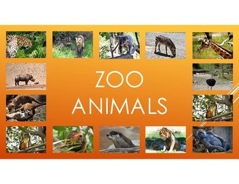 Zoo Animal PowerPoint: including pictures,diet, habitat, attributes, and  babies.