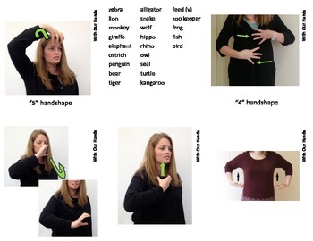 Preview of Zoo Animal Sign Language (ASL) Flash Cards