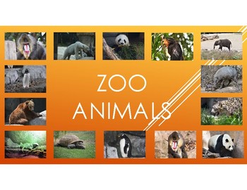 Preview of Zoo Animals 2-Pictures, diet, habitat, attributes, and babies.