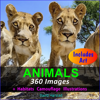 Preview of Zoo Animals