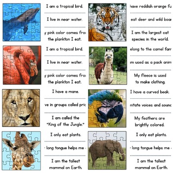 Zoo Animals Activity Science Center Preschool Kindergarten 1st Grade