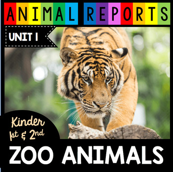 Preview of Zoo Animals - Animal Research Reports Tiger Panda Bear Peacock Kangaroo Gorilla
