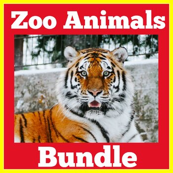 Preview of ZOO ANIMALS Worksheets Activities Crafts Pre-K, Kindergarten 1st 2nd 3rd
