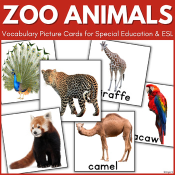 Zoo Animals and Birds Vocabulary Cards for Special Education, ESL by