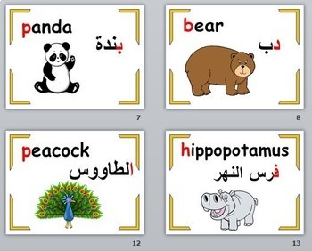 Zoo Animals Flashcards:English and Arabic by Learn With Me Forever