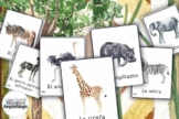 Zoo Animals Flashcards in Spanish