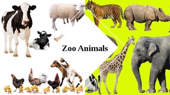 Preview of Zoo Animals: Greater or Lesser Than, Equal?