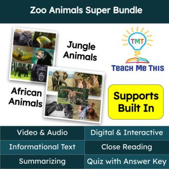 Preview of Zoo Animals Informational Text Reading Passage and Activities Super Bundle