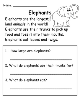 What Do Elephants Use Their Trunks For? 
