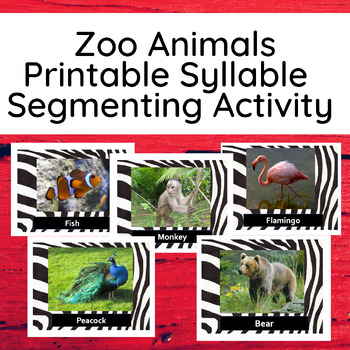 printable zoo animals syllable sort cards with real photographs tpt