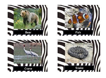 printable zoo animals syllable sort cards with real photographs tpt