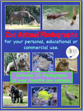 Animal Photos Photographs