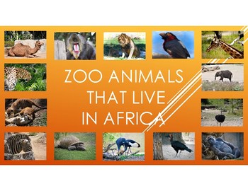 Preview of Zoo Animals That Live in Africa-Pictures, diet, habitat, attributes, babies.