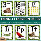 Colorful Classroom Decor Animal Alphabet Number Posters Re